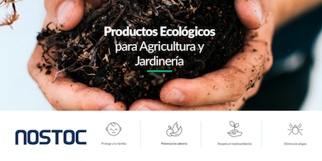ejemplos empresas sociales