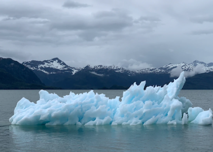 Bill Gates y el cambio climático: su lucha como inversor de impacto